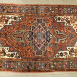 929 7355 ORIENTAL RUG